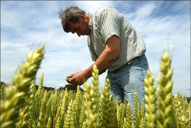 agricultor-chileno