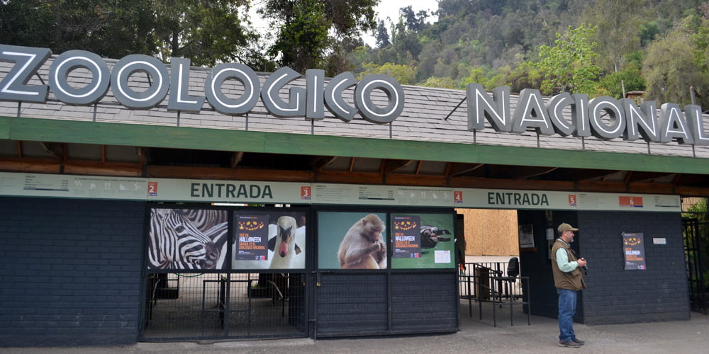 Zoológico Nacional y Piscina Tupahue Gratis: Revisa AQUI cómo postular