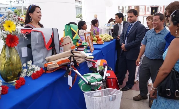 Postulación FOSIS 2025: Conozca los Programas Disponibles