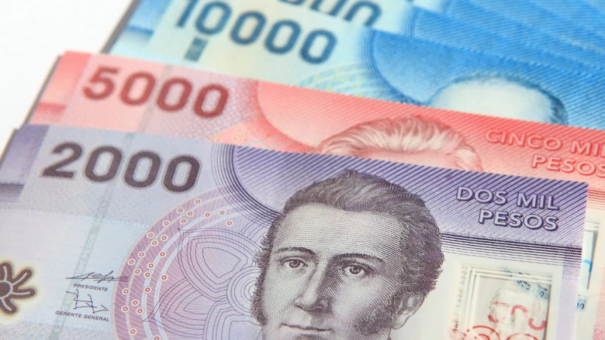 consulta si tienes pagos pendientes de Bonos y Subsidios con tu RUT