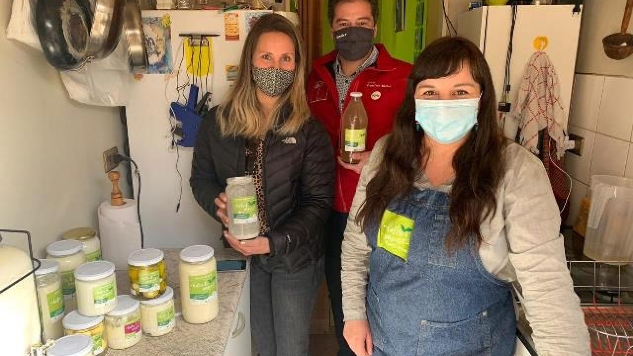 reactívate-micros-los-lagos