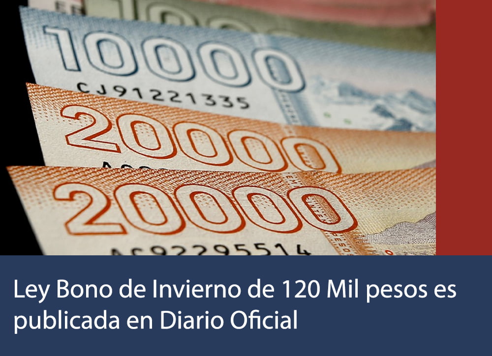 Ley Bono de Invierno de 120 Mil pesos es publicada en Diario Oficial