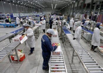 Pago IFE Laboral: Comienzan pagos – Consulta con tu RUT si eres beneficiario