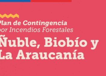 Plan de contingencia por incendios forestales en Ñuble, Biobío y La Aracanía