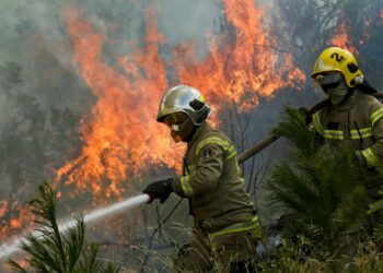 SOAP 2023: Como apoyar a Bomberos comprando el seguro a su nombre