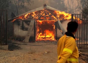subsidio-emergencia-laboral1