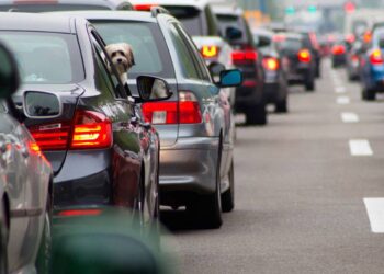 SII publica Tasación de Vehículos 2025: ¿Cuánto pagar por el permiso de circulación?