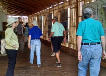 acceso-gratis-adultos-mayores