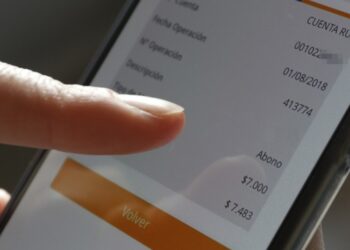 bolsillo-electronico-2023-consultar-rut