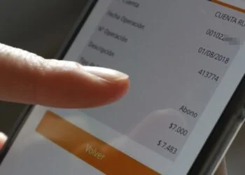 bolsillo-electronico-2023-consultar-rut