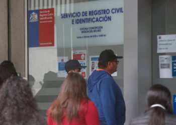 consulta-registro-deudores-pension