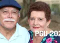 pgu-2025
