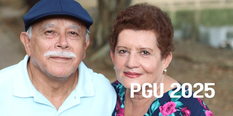 pgu-2025