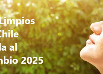 recambio-calefactores