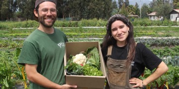 tierra-joven-requisitos