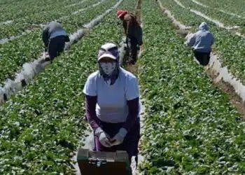 bonos-mujer-trabajadora-informales