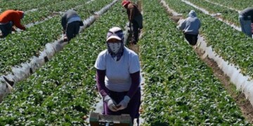 bonos-mujer-trabajadora-informales