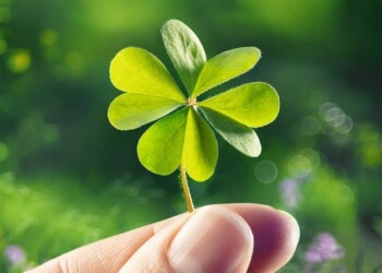 El significado cultural de los “números de la suerte” en el mundo