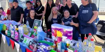 emprendamos-fosis-2026