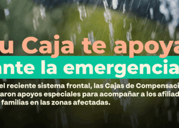 bonos-cajas-compensación