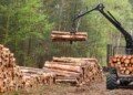 Detienen en Carahue a prófugo buscado desde 2021 por robo armado en La Araucanía