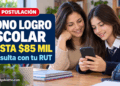 ¿Tienes hijos estudiantes? Revisa con tu RUT si recibes el Bono Logro Escolar 2026