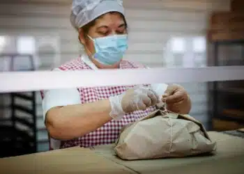 El estado paga hasta $302 mil sin postular a quienes ingresen al mundo laboral
